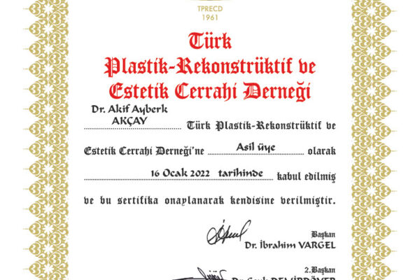 1742282179463-b760fe3b-c02d-4ff4-beed-48947111606b_1